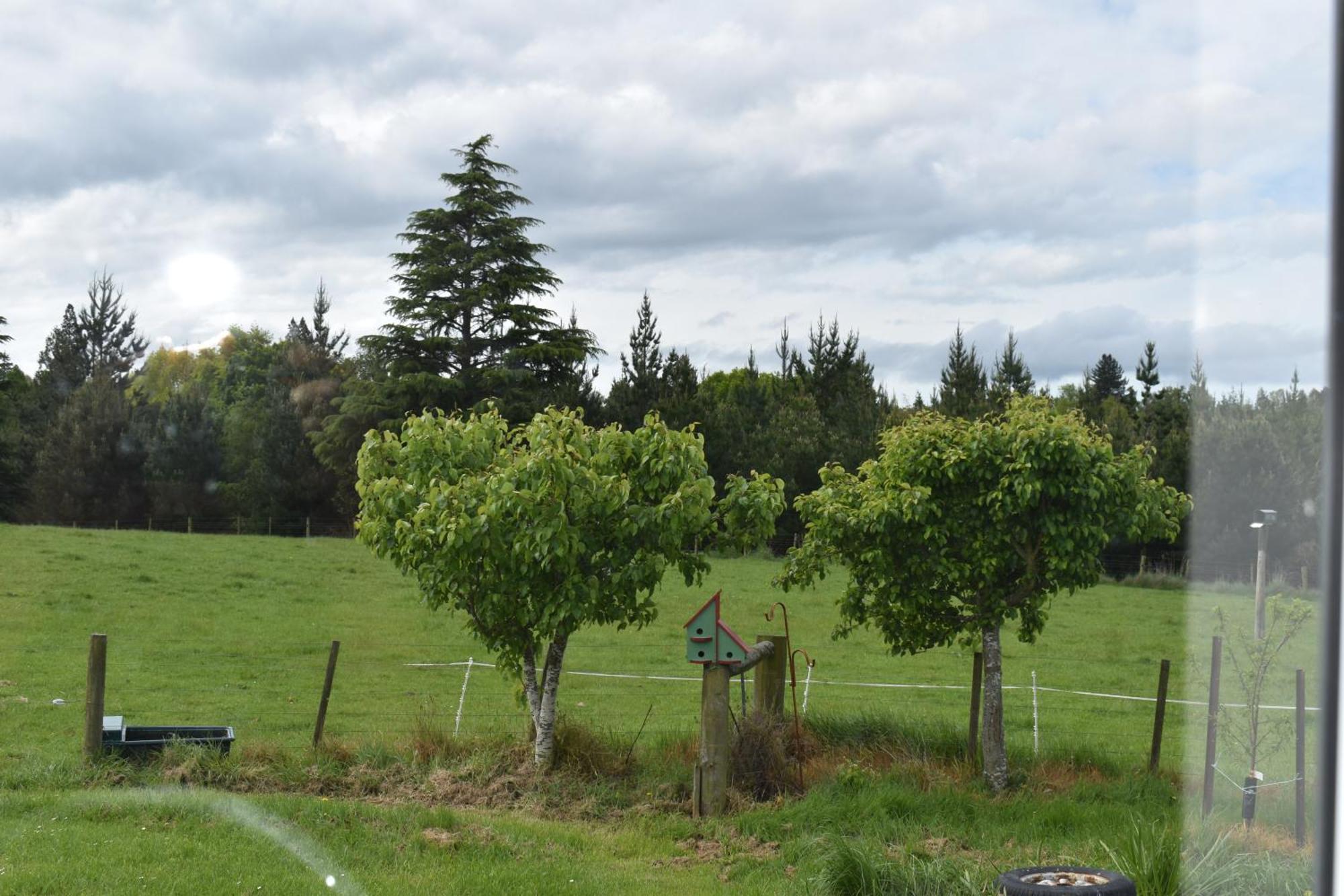 Bnb On Bakers Waimate Eksteriør bilde